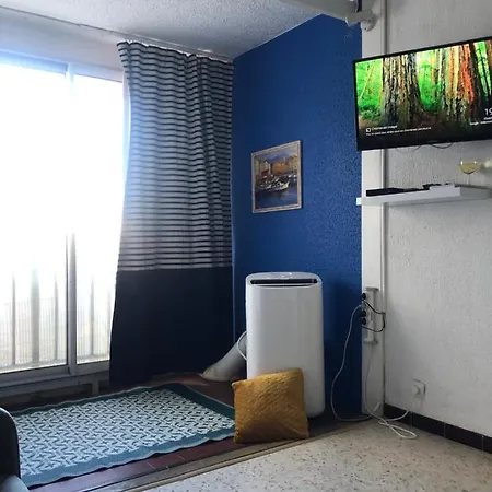 Studio Climatise Du Mole Apartment